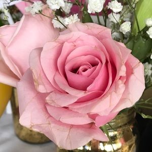 Meet your Posher, Marisa